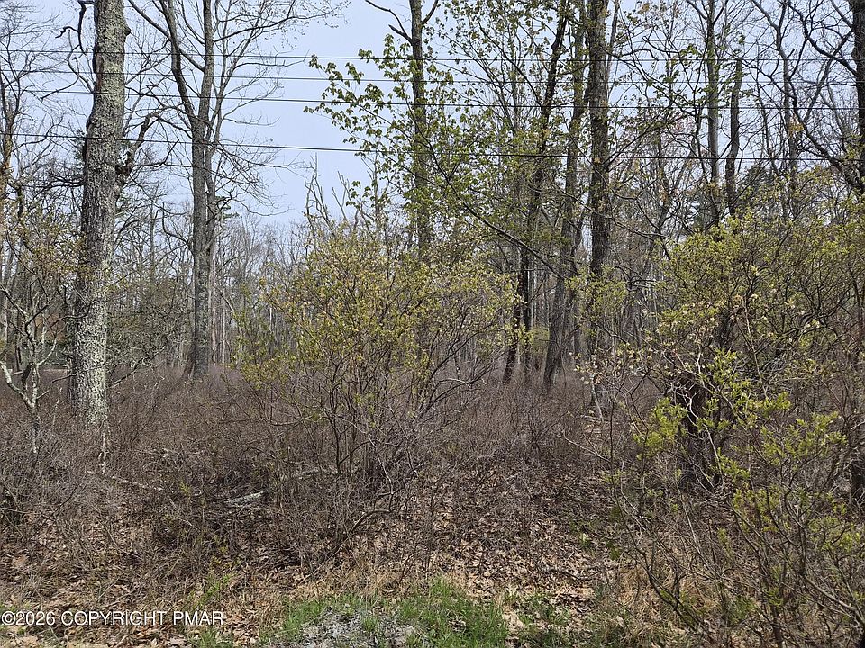 2nd image of LOT 20 Big Oak Rd