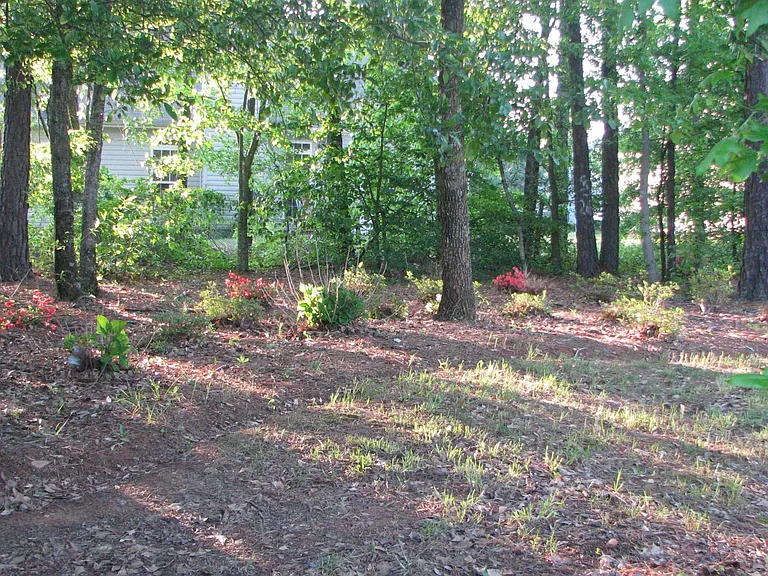 Colorful Azalae bed under the trees in the southern garden fill the back of the property
