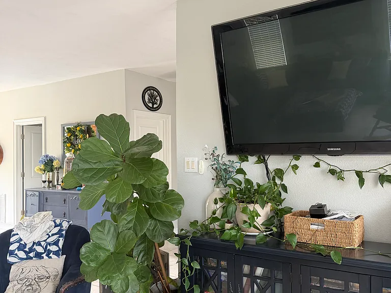 16725 Brigadoon Trl — Photo 3