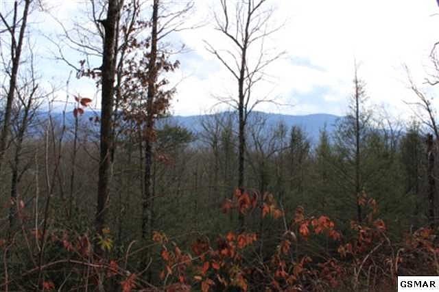 1st image of 68 Big Bear Ridge Rd Lot 68
