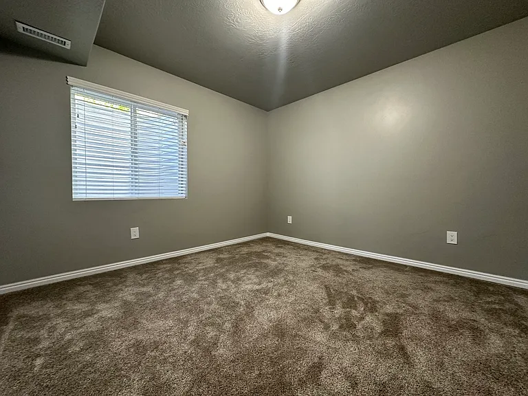 10684 S Wild Rice Dr — Photo 18