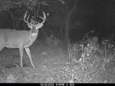 00 FISHER ROAD #Corner of Helgeson/F, Iola, WI, 54945