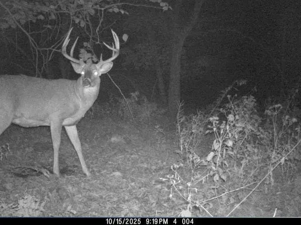 00 FISHER ROAD #Corner of Helgeson/F, Iola, WI 54945