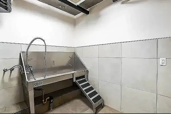 815 Flatbush Ave #Penthouse 22 — Photo 19
