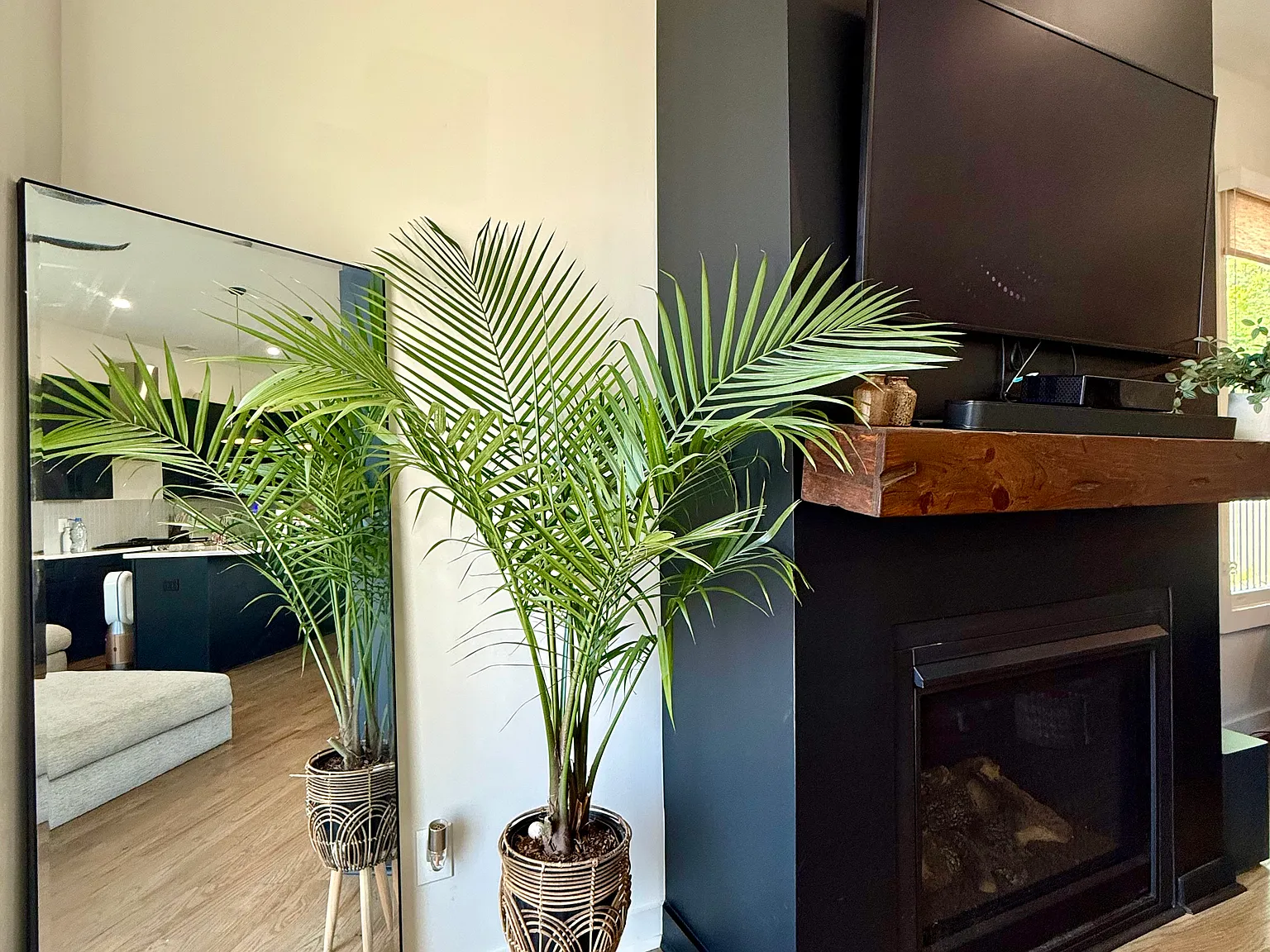 3 bed, 1484 sqft, $3,500 — Photo 3