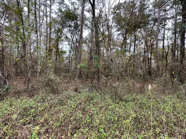 12th Terrace Lot 4, Live Oak, FL 32060