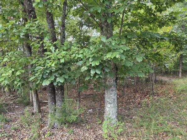 3 Edwardsville Rd, Hardy, VA 24101