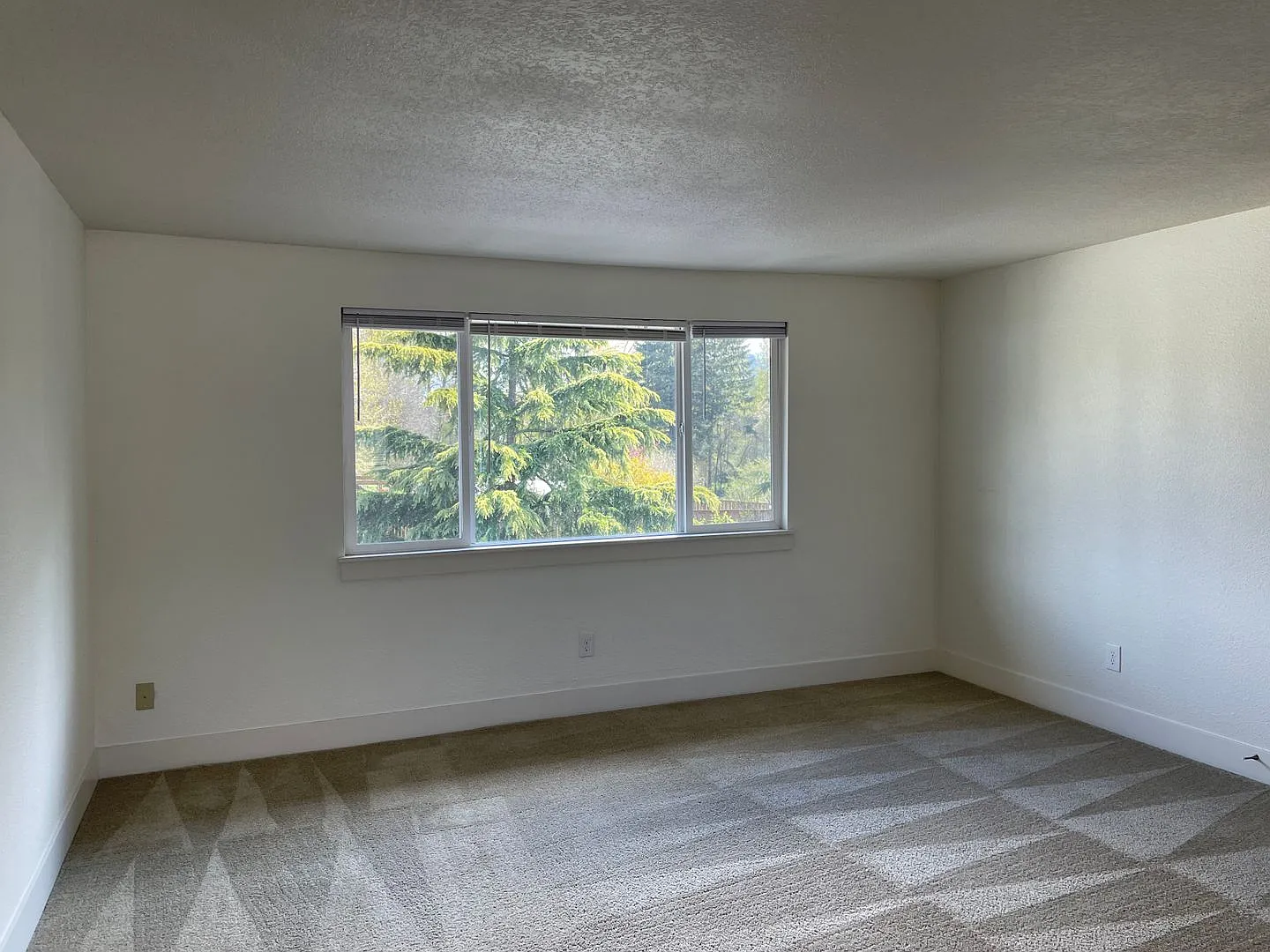 DW1712 - Woodland Heights — Photo 4