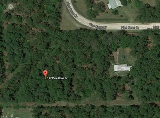 127 Pine Cone Dr, Georgetown, FL 32139