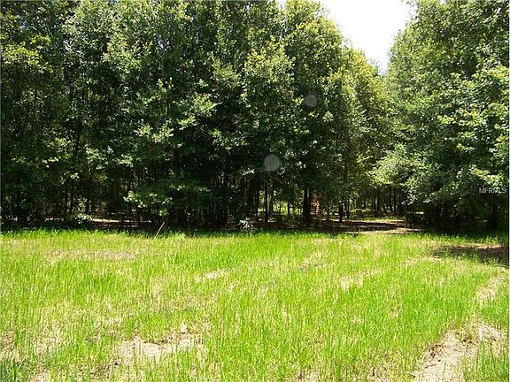 5th image of 12403 Country Side Dr