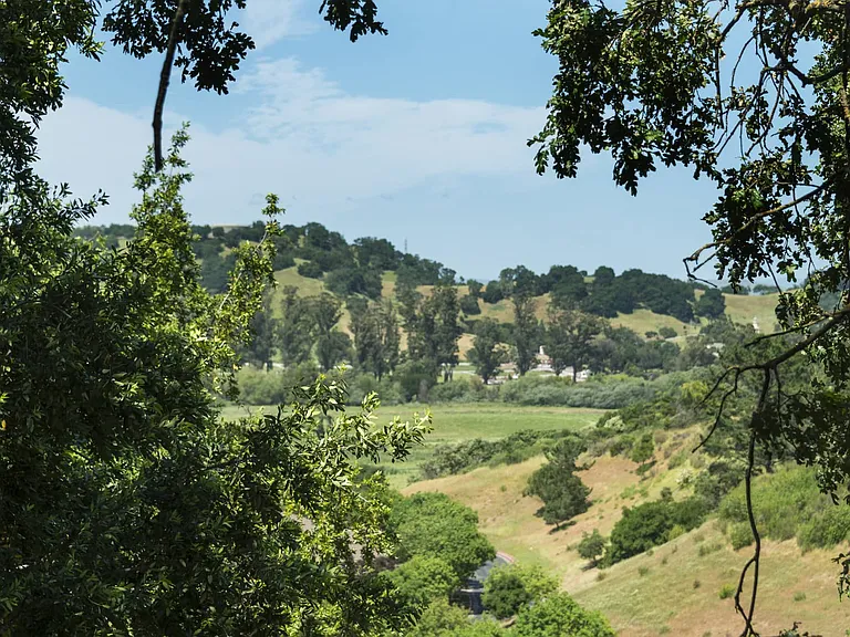 Highlands of Marin — Photo 35