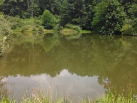 2nd image of 877 Speed Rd