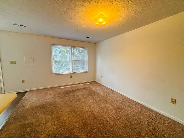 507C Green St — Photo 5
