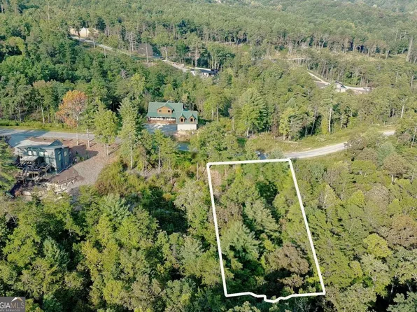 41 Ridgeline Ln, Mineral Bluff, GA 30559