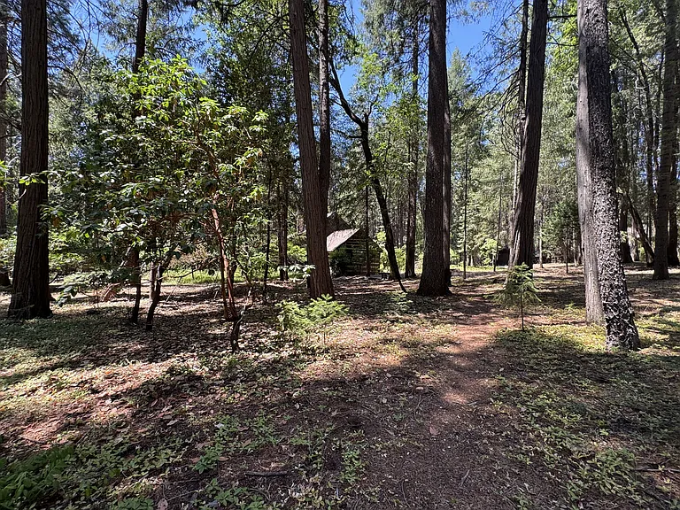 13216 Tranquility Ln #1 — Photo 41