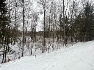 30.5 Off Horsehead Lake Rd, Harshaw, WI 54529