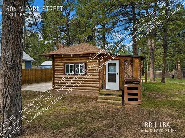 604 N Park St, Woodland Park, CO 80863