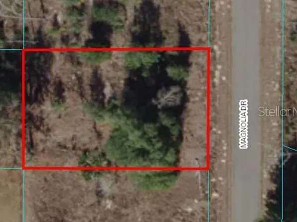 14 Magnolia Dr Lot 14, Ocklawaha, FL 32179