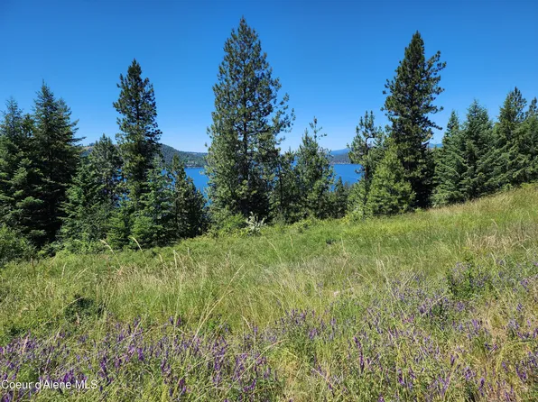 LOT 12 Empty Nest Ln, Harrison, ID 83833