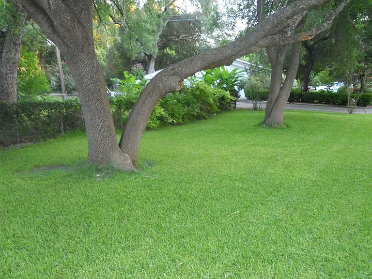 3101 Laguna Dr — Photo 8