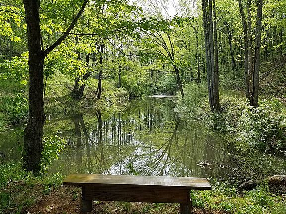 pond w/ pouting bench