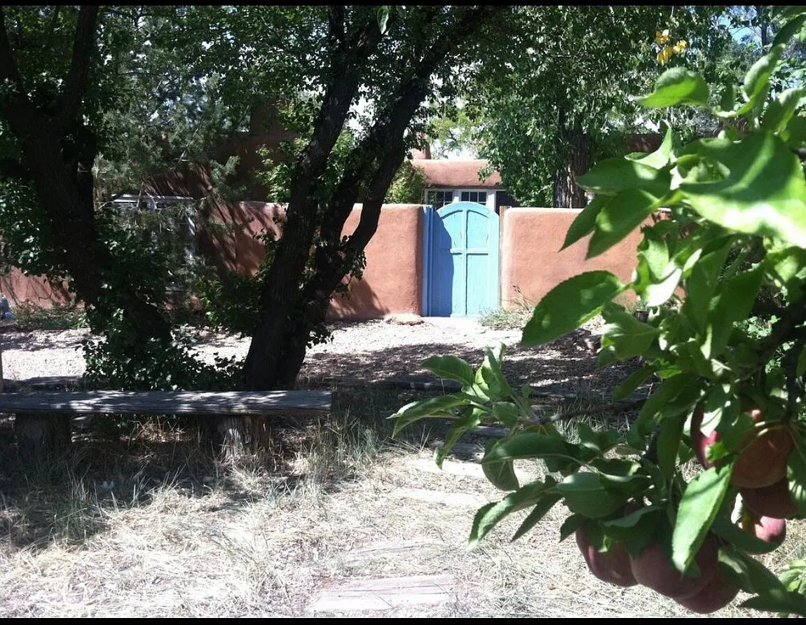 1005 Camino San Acacio — Photo 4