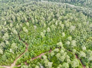 0 Everett Wood Rd LOT WP001, Ideal, GA 31041