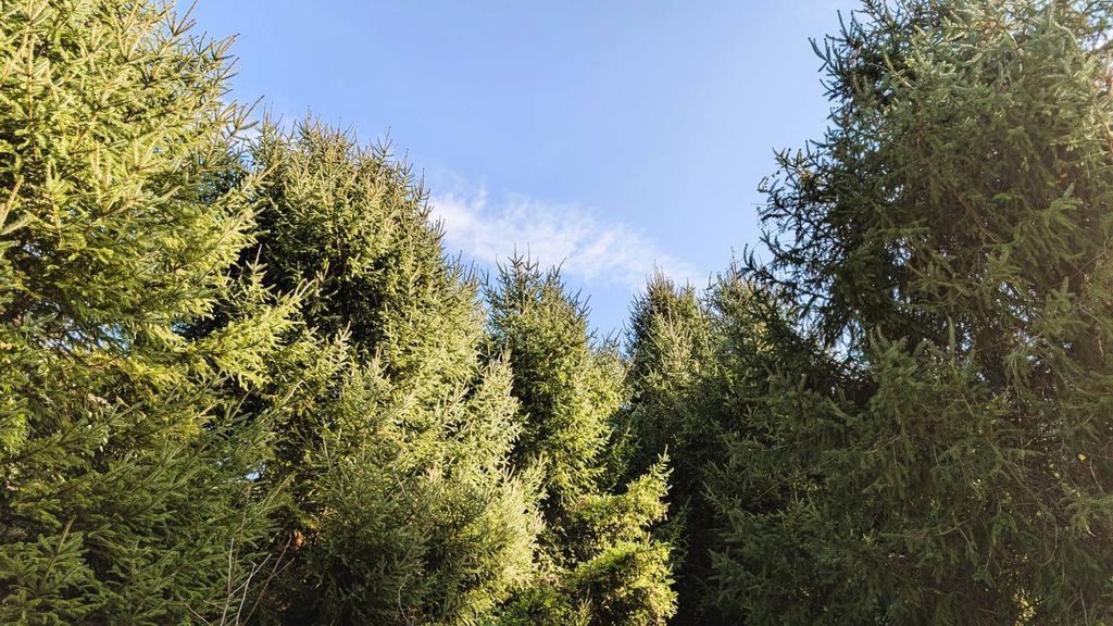 Real estate listing image