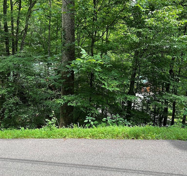 1st image of 406 Ski View Ln Lot 406