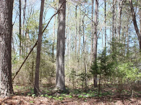 2207 Saber Ct, Greenbackville, VA 23356