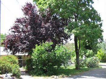 1st image of 50 John Mardon Ln
