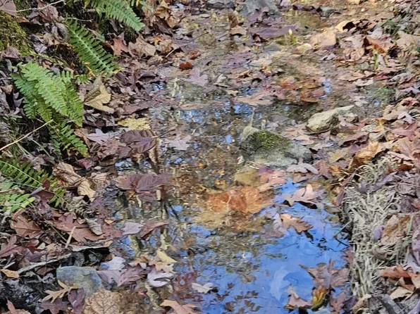 0 Orange Ln, Troutville, VA 24175