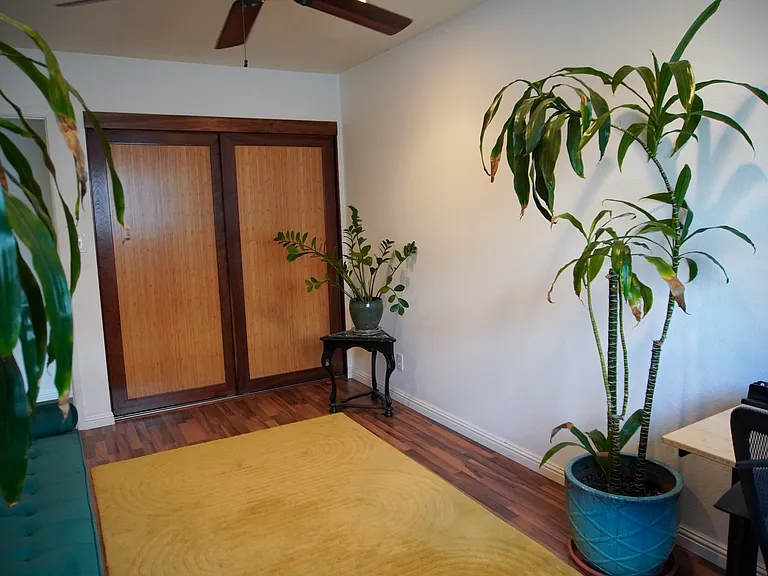 bedroom 1 / custom bamboo/oak closet doors