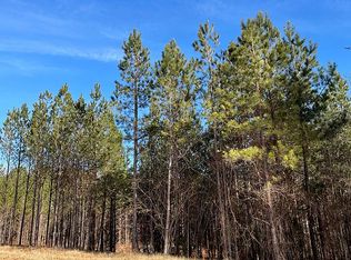 315 Grassy Ridge Ct, Clover, SC 29710