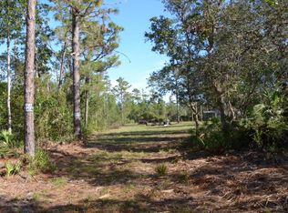 630 6th Ave, Osteen, FL 32764