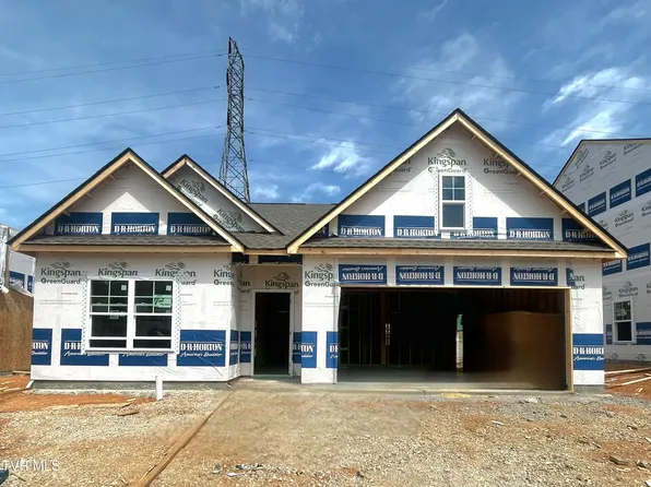 276 Chimney View Loop, Blountville, TN 37617