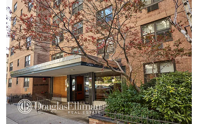 Sold by Douglas Elliman | media 29