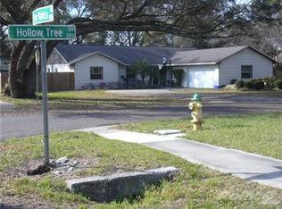 333 Hollow Tree Dr, Seffner, FL 33584