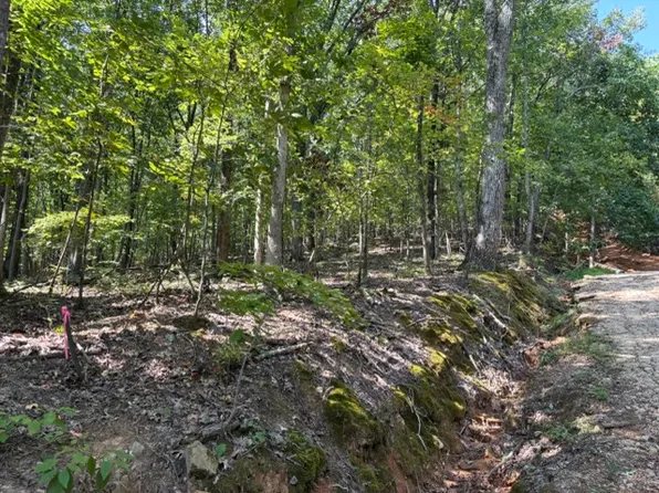 0 Byrd Dr SE, Owens Cross Roads, AL 35763