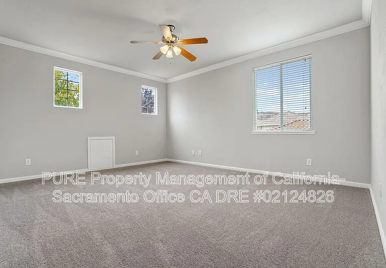 4909 Concordia Dr — Photo 22