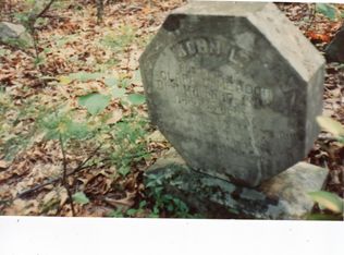 1522 Hatcher Rd, Jumping Branch, WV 25969