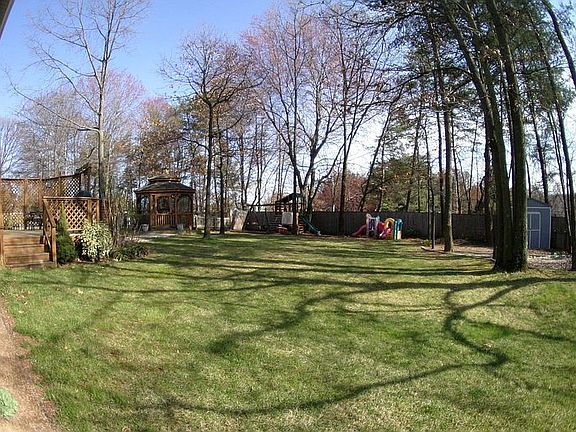 Back yard