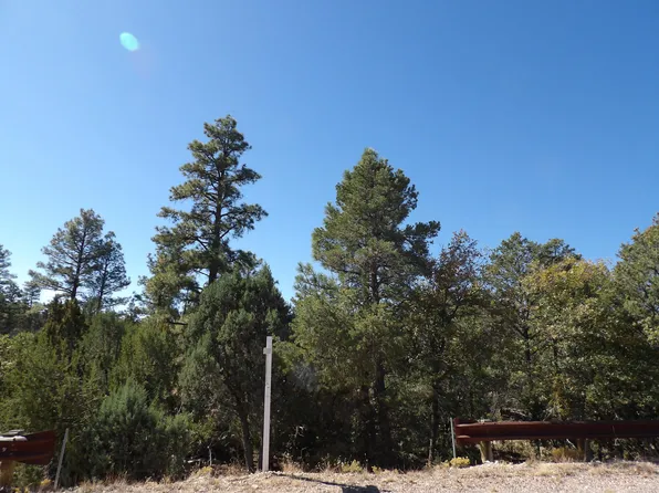 3642 Pinehurst Dr, Happy Jack, AZ 86024