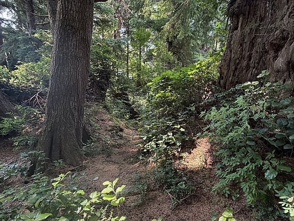 3rd image of Hemlock Ln