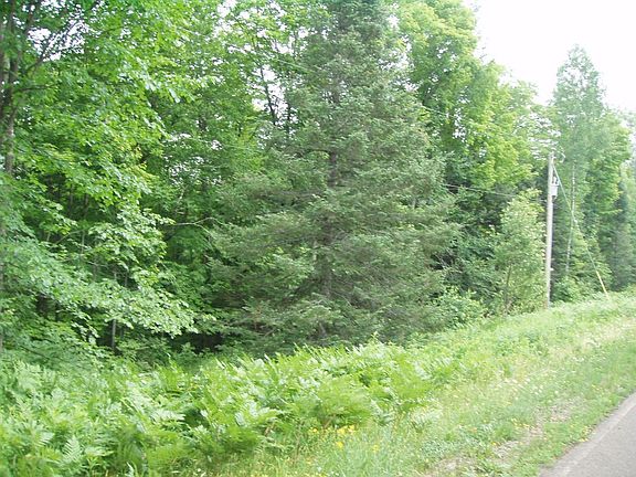 3rd image of On Morse Road