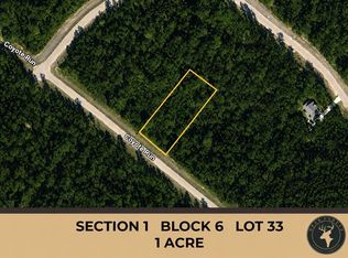 110 Coyote Run Lot 33, Willis, TX 77378