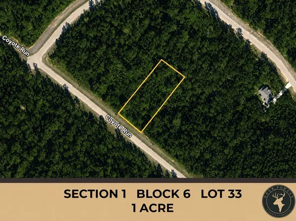 110 Coyote Run Lot 33, Willis, TX 77378