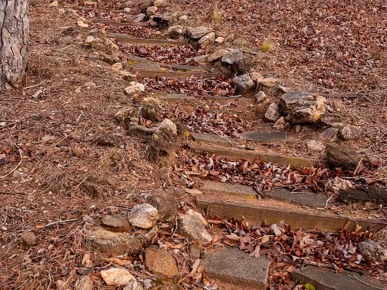Path to lake.