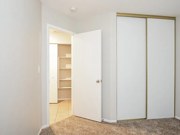 881 Adobe Flat Dr — Photo 11