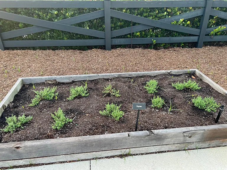 FREE HERB GARDENS
